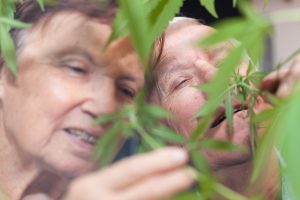 two seniors happy smelling a cannabis plant