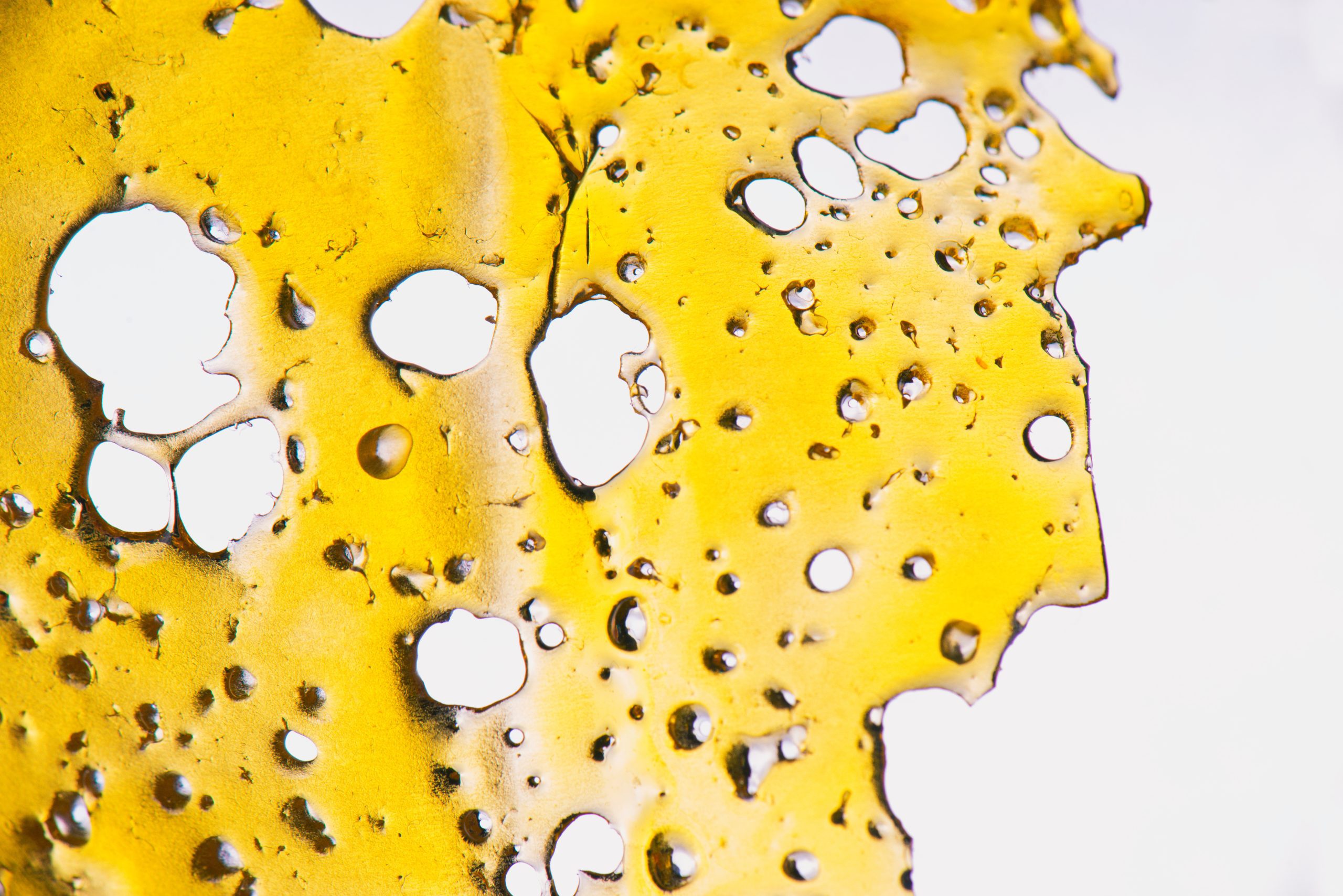 A piece of cannabis oil concentrate aka shatter isolated against white background